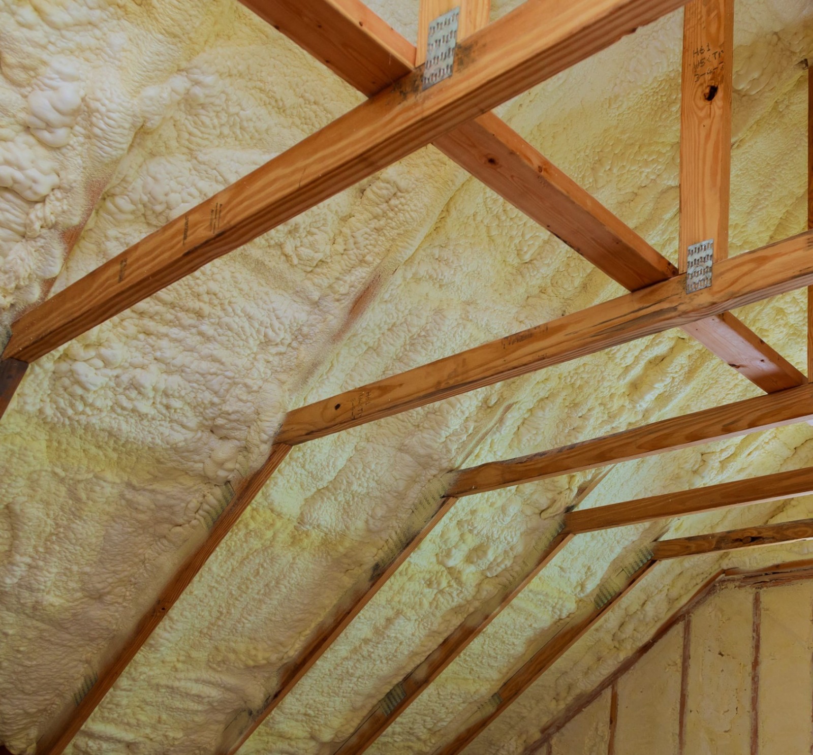 Polyurethane Foam